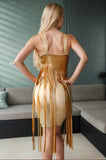 Women Latex Dress Semi Transparent Metallic Fringe