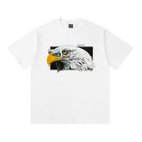 saint m t shirts  s.m eagle eyewear graphic crewneck pullover short sleeve tee - wholesale