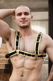 Men Latex Braces Buckle Strap Top Bold Fetish Fashion